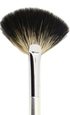 Fan D1011